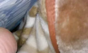 Charmante große Milch machen den Körper attraktiv und sexfilme für ältere ziehen die Aufmerksamkeit der Nachbarn auf sich. Dieser Mann ist sehr glücklich für ver.com eine perforierte Kappe. Dehnen die Kopf der Ziege mit dem Kopf tief in Rauch, dann direkt mit einer vagina.